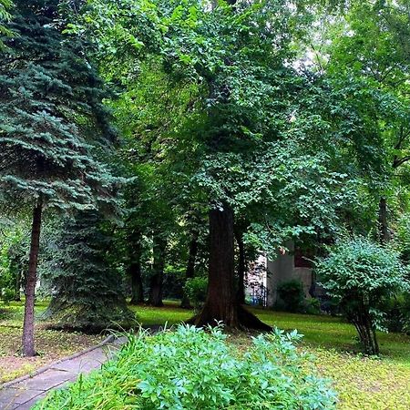 Apartment With Garden In Old Town Krasków Eksteriør bilde