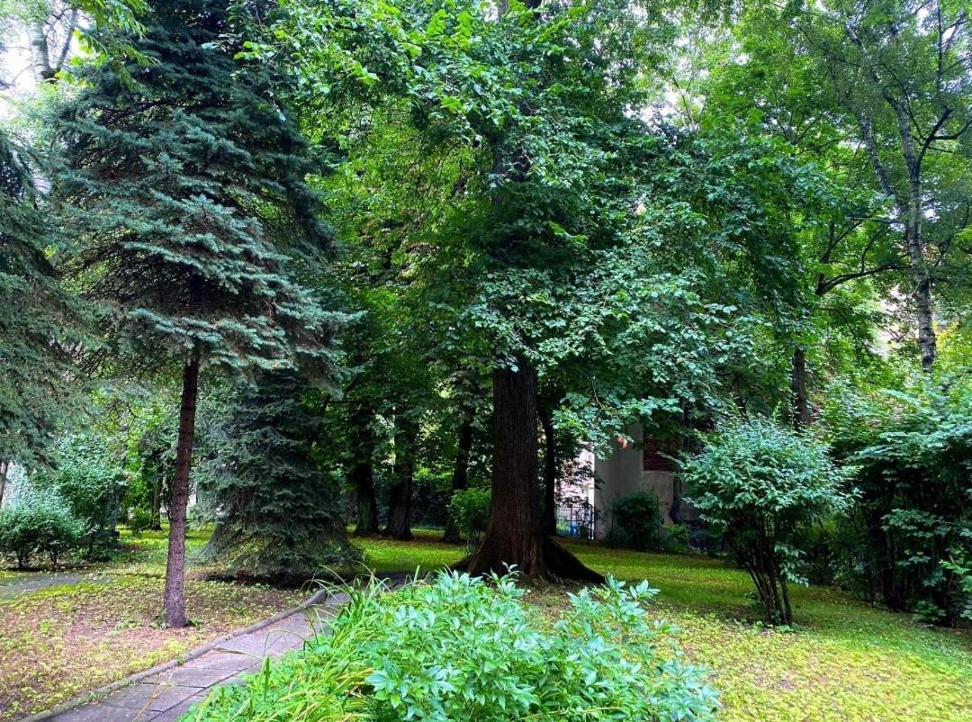 Apartment With Garden In Old Town Krasków Eksteriør bilde